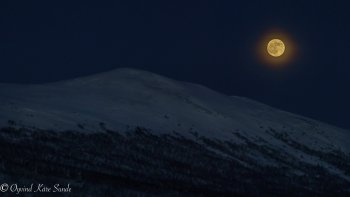 1_DSC01764-1
