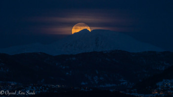 1_DSC01887-2-1