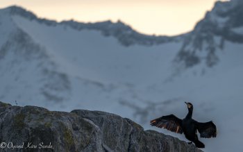 1_DSC01973-1