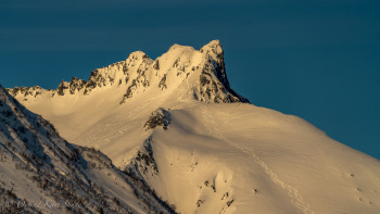 1_DSC02354-2