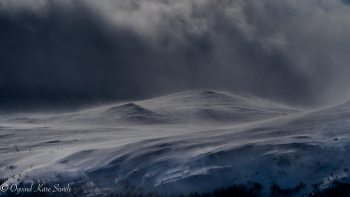 1_DSC02686-1