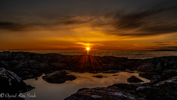 1_DSC03102-2-1