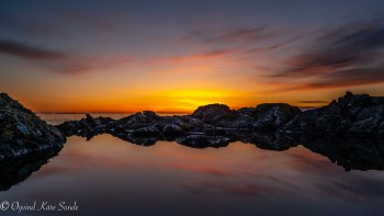 1_DSC03110-2-1