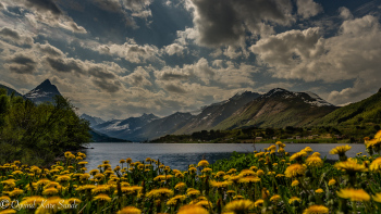 1_DSC04188-Edit-1