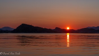 1_DSC04210-1