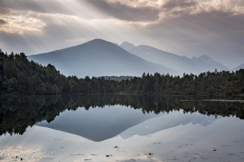 1_DSC0431-2