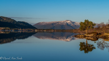 1_DSC04485-2-1