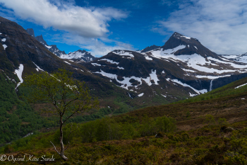 1_DSC04497-3-1