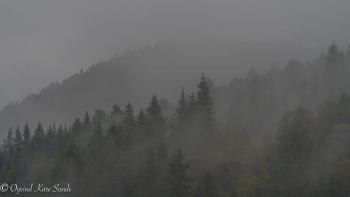 1_DSC05469-1