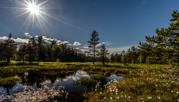 1_DSC06044-Edit-1