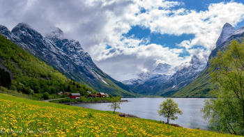 1_DSC06325-Pano-1
