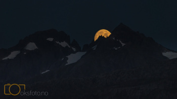 1_DSC07002
