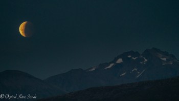 1_DSC07152-1