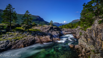 1_DSC0834-2-1