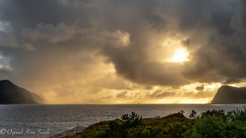 1_DSC08421-2-1