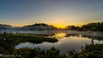 1_DSC08592-1
