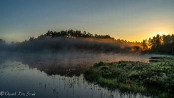 1_DSC08621-2-1