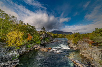 1_DSC09259-2-1