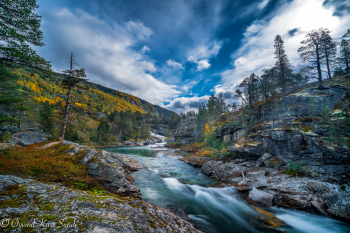 1_DSC09285-2-1