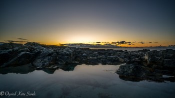 1_DSC1395-1