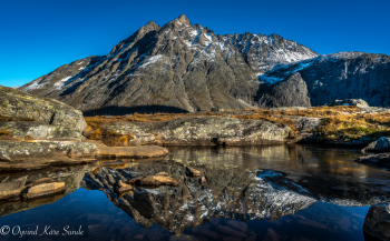 1_DSC1646-2-1