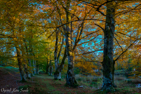 1_DSC2219-Pano-2-1