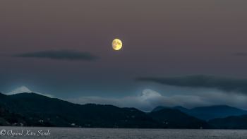 1_DSC2915-1