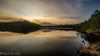 1_DSC4919-2-1