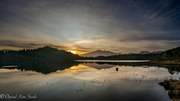 1_DSC4922-1