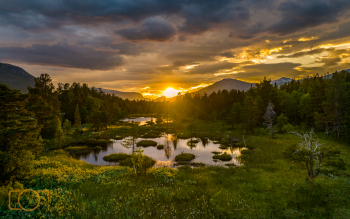 DJI_0684-Edit-2