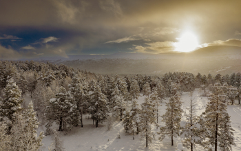 DJI_20251116132842_0008_D-Edit-2.jpg