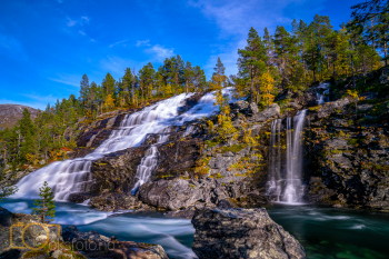 DSC00419-Edit