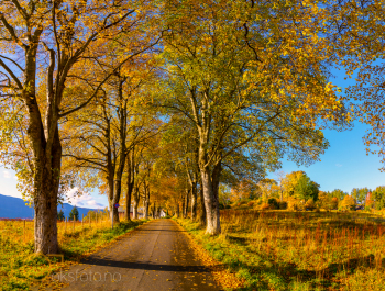 DSC00825-Pano-2
