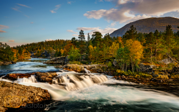 DSC0463-Edit-2