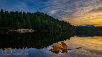 OKS04737-Edit-2
