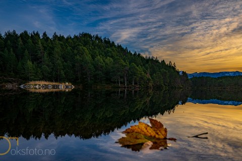 OKS04737-Edit-2