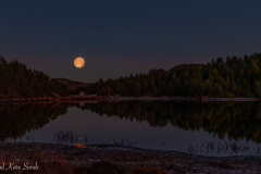 1_DSC00867-2-1