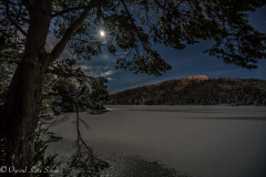 1_DSC01031-1