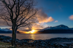 1_DSC01279-2-1