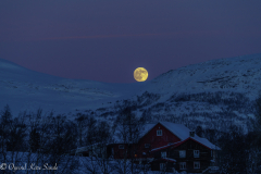 1_DSC01712-1