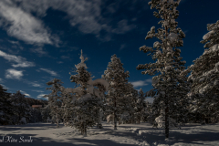 1_DSC01773-1