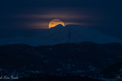 1_DSC01887-2-1