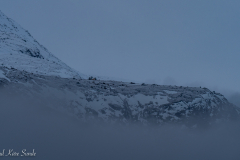 1_DSC02395-1