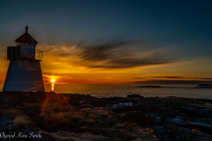 1_DSC03094-1