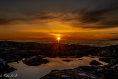 1_DSC03102-2-1