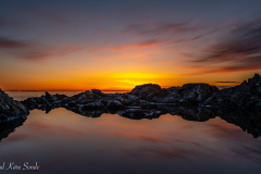 1_DSC03110-2-1