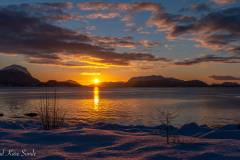 1_DSC03179-1