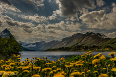 1_DSC04188-Edit-1