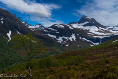 1_DSC04497-3-1