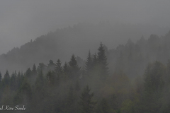 1_DSC05469-1